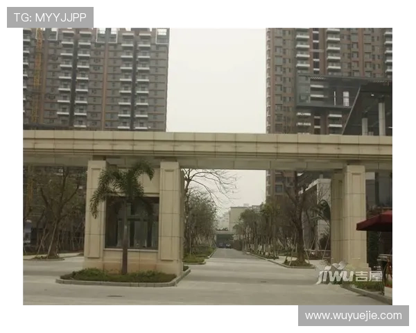 探索凯云开云集团官方网站的全部功能与最新动态信息 探索凯云开云集团官方网站的全部功能与最新动态信息