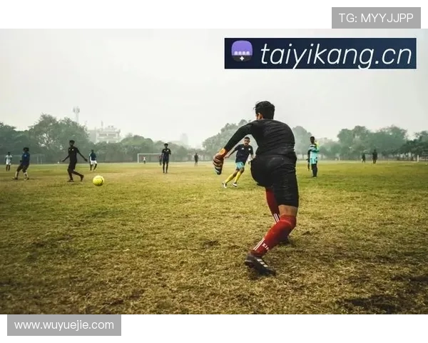 深度分析开云官方体育app在体育娱乐领域的影响力与发展潜力 深度分析开云官方体育app在体育娱乐领域的影响力与发展潜力