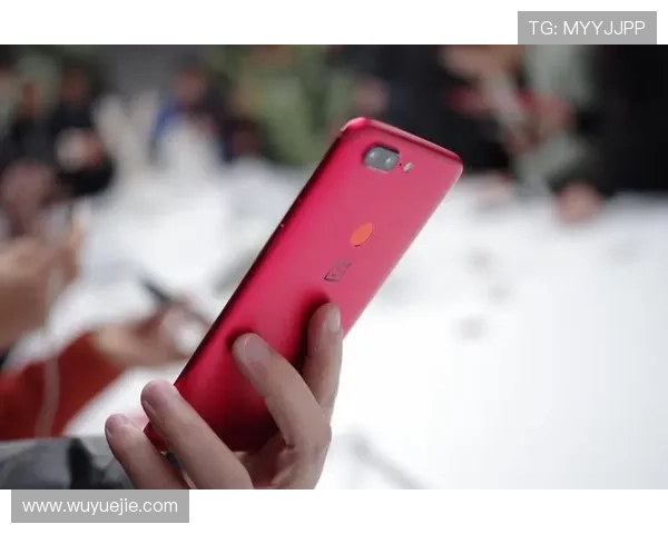 开云下载管理器最新版本更新内容与优化亮点全面介绍