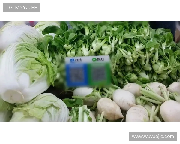 开云官方网站入口二维码安全扫码指南,保障您的账号安全与顺畅登录体验 开云官方网站入口二维码安全扫码指南,保障您的账号安全与顺畅登录体验